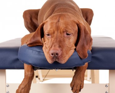 Massage Massage